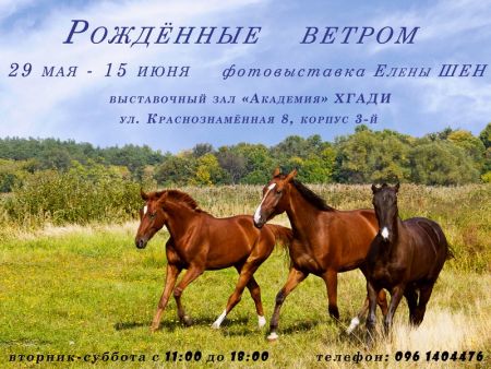 персональная фотовыставка «Рожденные ветром» харьковского фотографа Елены ШЕН персональная фотовыставка «Рожденные ветром» харьковского фотографа Елены ШЕН