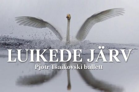 Балет "SWAN LAKE" Балет "SWAN LAKE"