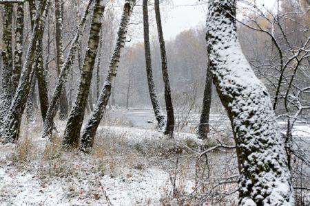 «Зимние узоры». Фотоцентр «Зимние узоры». Фотоцентр