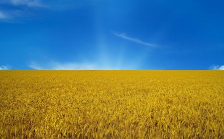 День независимости Украины 2017 в Сумах