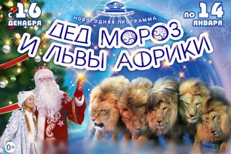 Дед Мороз и львы Африки. Гомельский цирк Дед Мороз и львы Африки. Гомельский цирк