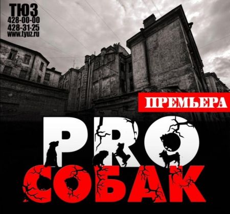 Спектакль "PRO Собак". Нижегородский ТЮЗ Спектакль "PRO Собак". Нижегородский ТЮЗ