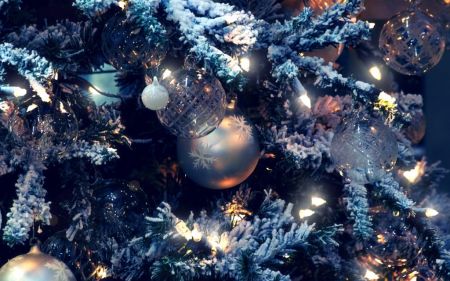 Елки 2019 в Саранске и новогодние праздники Елки 2019 в Саранске и новогодние праздники