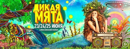 Фестиваль «Дикая мята 2017»
