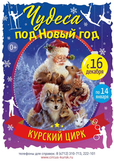 Чудеса под Новый год. Курский цирк Чудеса под Новый год. Курский цирк