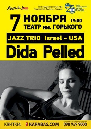 Концерт Dida Pelled Trio
