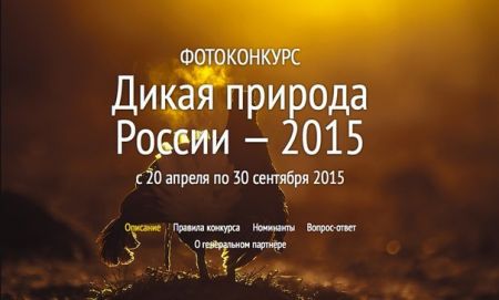 Конкурс «ДИКАЯ ПРИРОДА РОССИИ 2015» (20 апреля-30 сентября 2015)