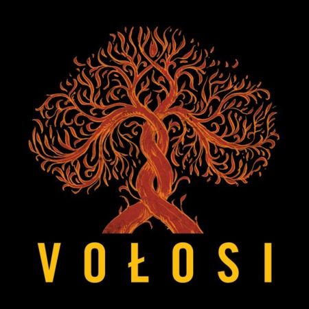 Концерт гурту Vołosi (Польща) у Вінниці 2013