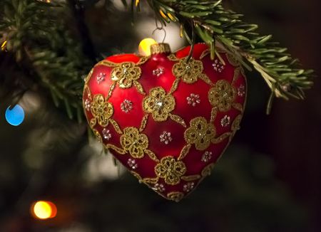 Елки 2021 в Новороссийске и план праздника Елки 2021 в Новороссийске и план праздника