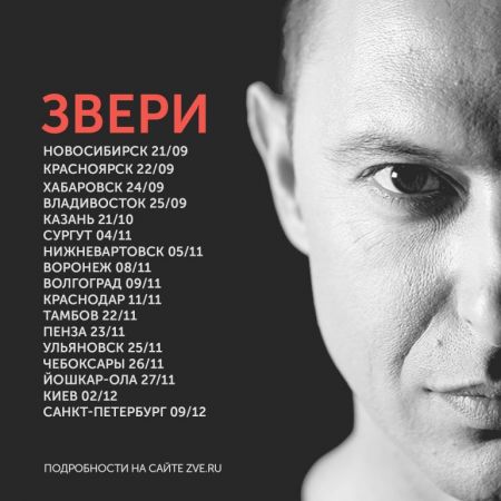 Концерт группы Звери Концерт группы Звери