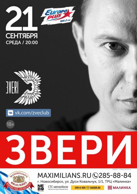 Концерт группы Звери Концерт группы Звери