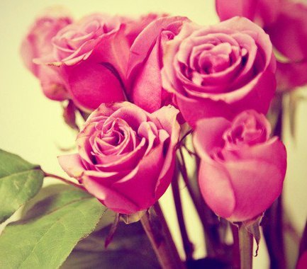 Поставщики цветов  и флористы рассказывают о розах и других цветах к 8 марта