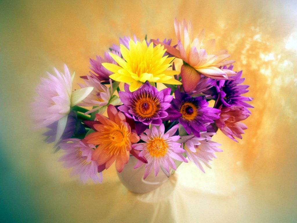 Красота, доступная каждому: цветы с доставкой в Кривой рог, в Херсон и в другие города Украины