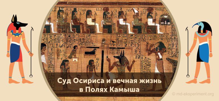 Читать мифы Древнего Египта. Суд Осириса и вечная жизнь в Полях Камыша