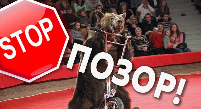 СТОП цирку с животными