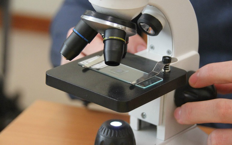 Микроскоп - наблюдения микромира