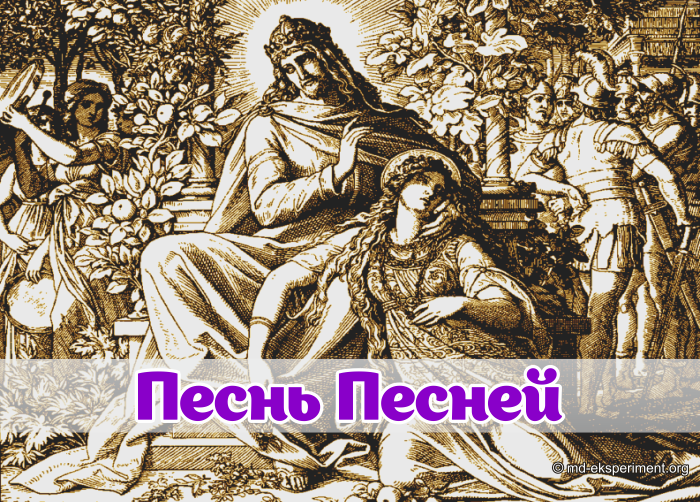 Песнь Песней