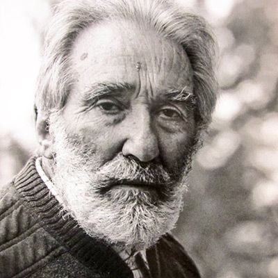 Марио Ригони Стерн. Фото. Биография. Критика. Произведения
