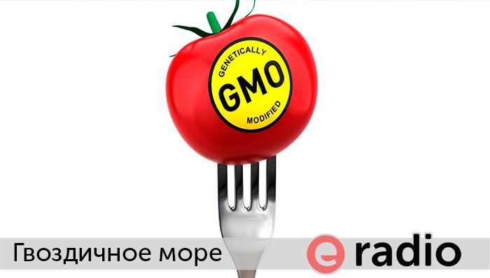 Гвоздичное море - Польза ГМО