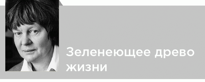 Мердок под сетью. Айрис Мердок. Айрис Мердок на велосипеде. Айрис мёрдок биография. The Black Prince Iris Murdoch.