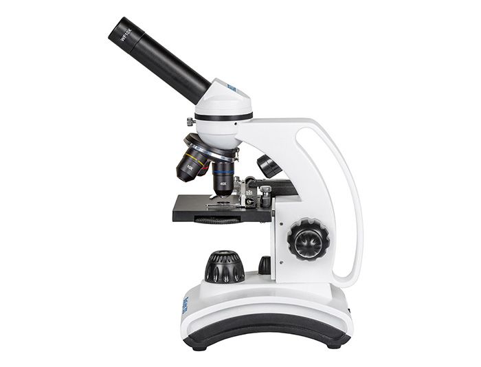 Микроскоп для школьника фото