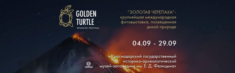 Выставка «Золотая Черепаха». Музей Фелицына. Афиша Краснодар 2019