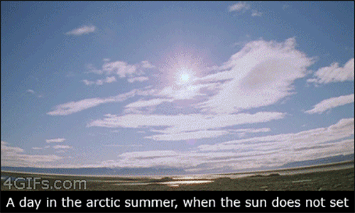 Вид арктического лета